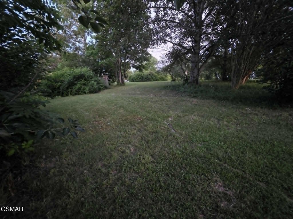 Picture 8