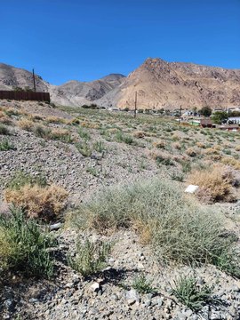 LAND - Walker Lake, NV