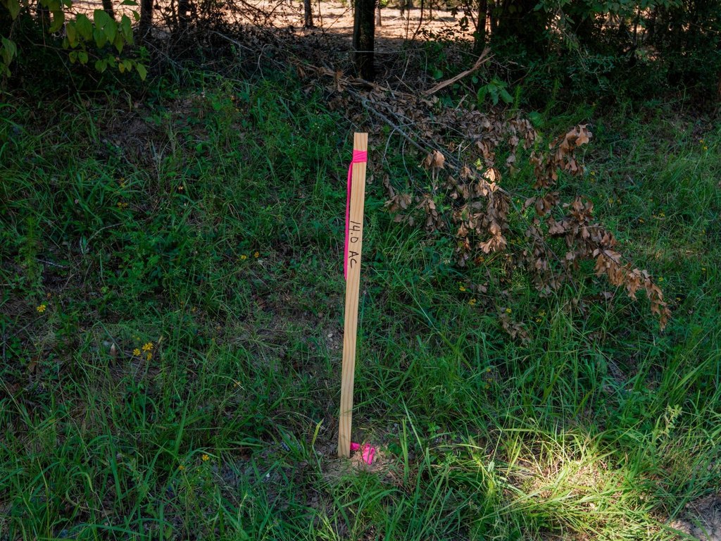 Picture 21