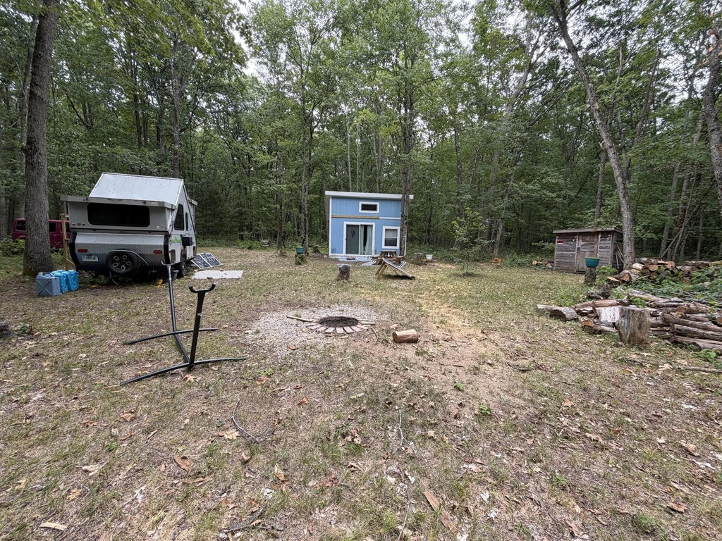 Picture 8