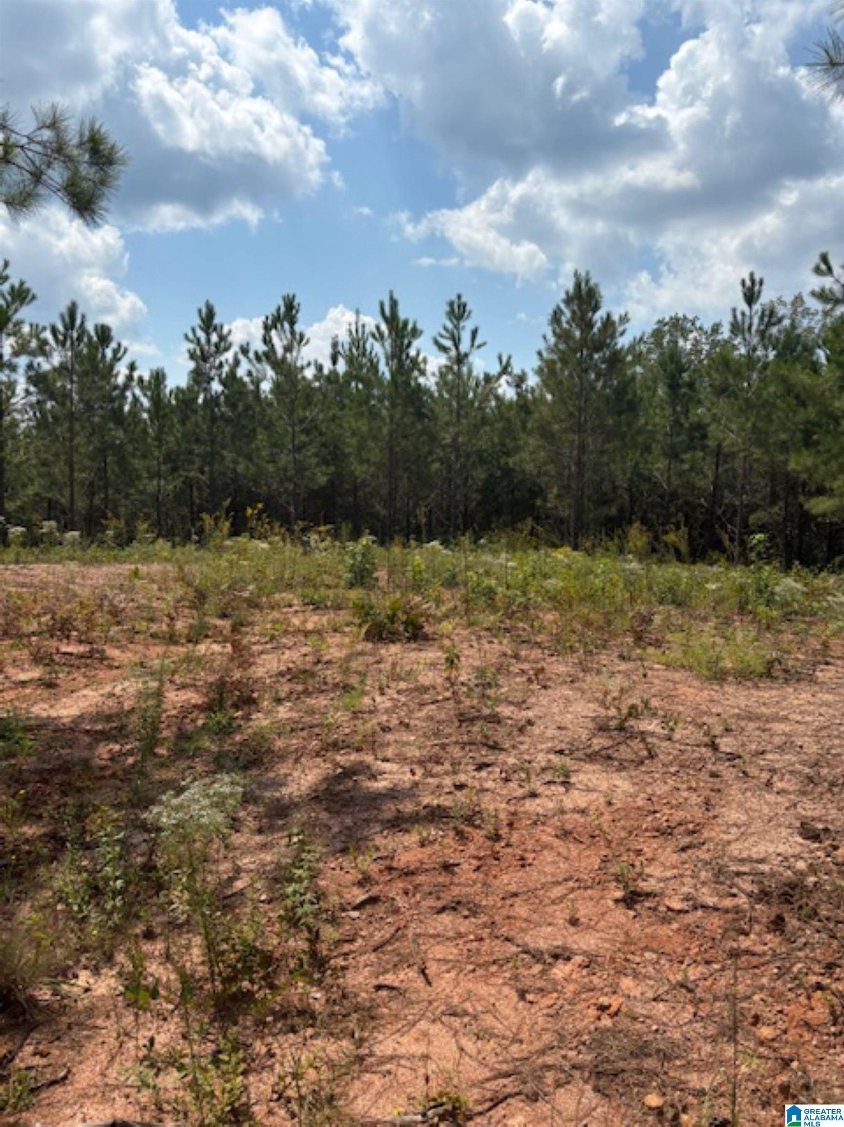 3-Acre Parcel Ready for Building