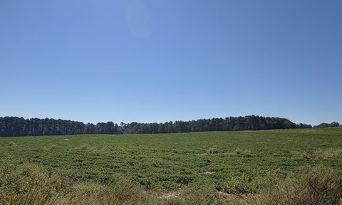 Land, Dothan, AL