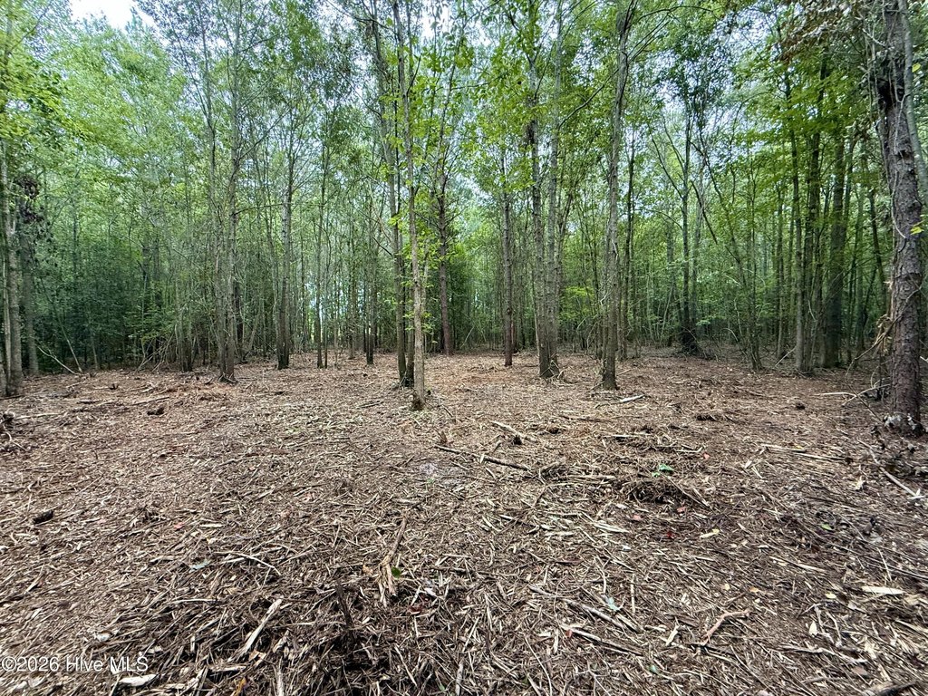 Picture 4