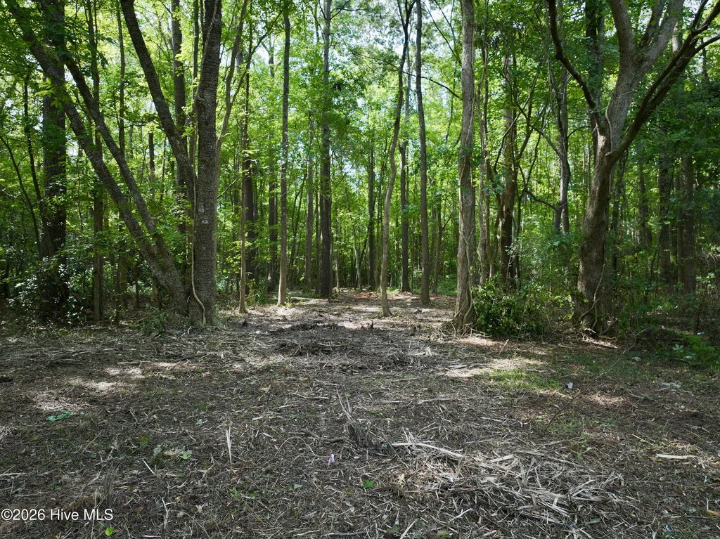 Picture 15
