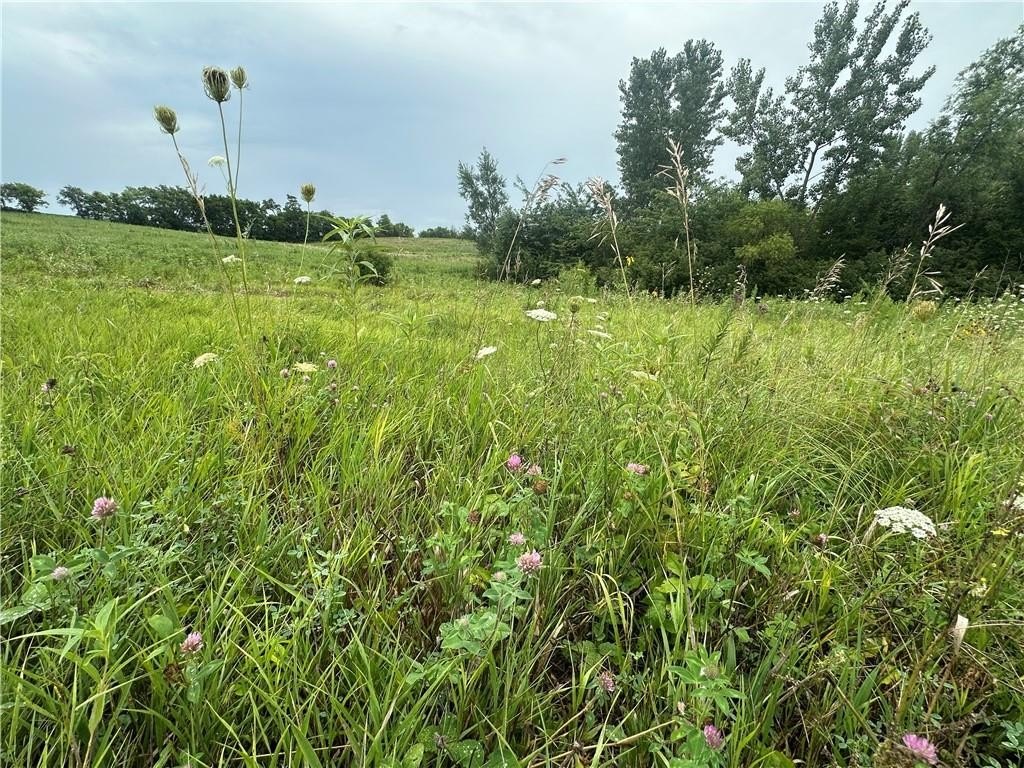 Picture 24