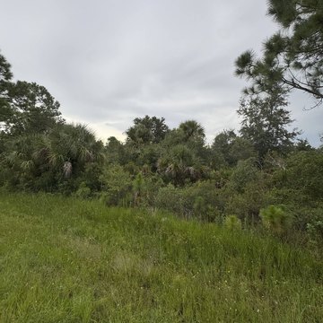 Port Charlotte Vacant Residential Land