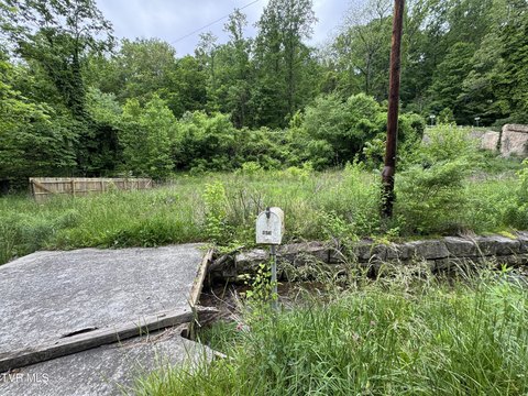 Residential Lot in Jonesville, VA