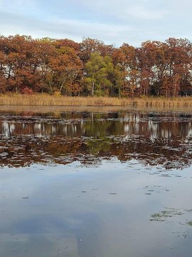 Buchanan Land on Dayton Lake
