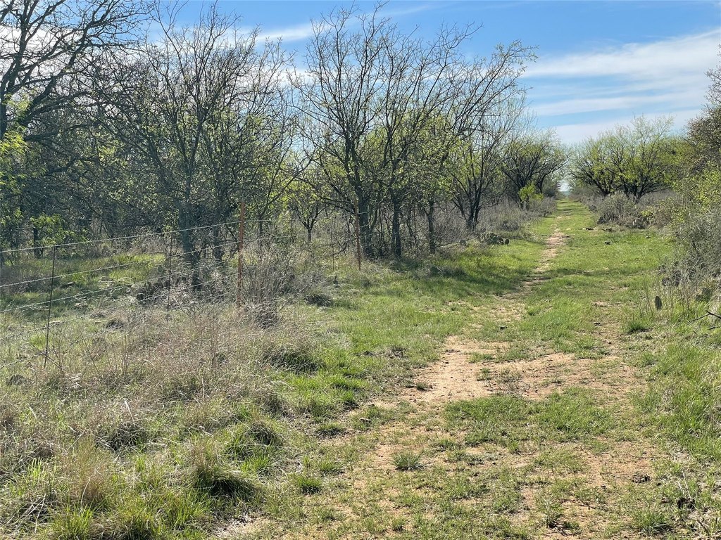 Picture 25