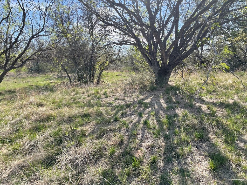 Picture 28