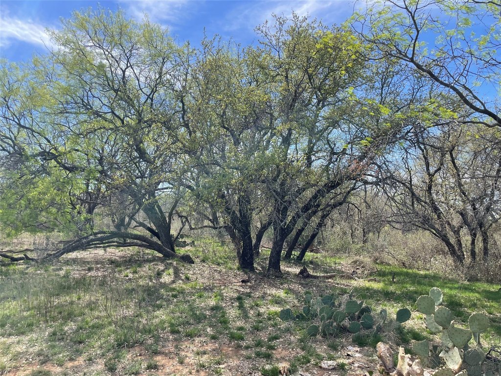 Picture 22