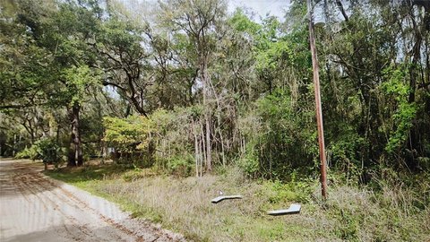 Lake Area Lot Opportunity