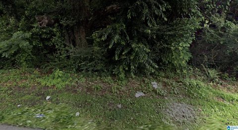 Land in Bessemer, Alabama