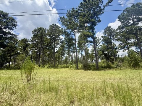 Land, Ashford, AL