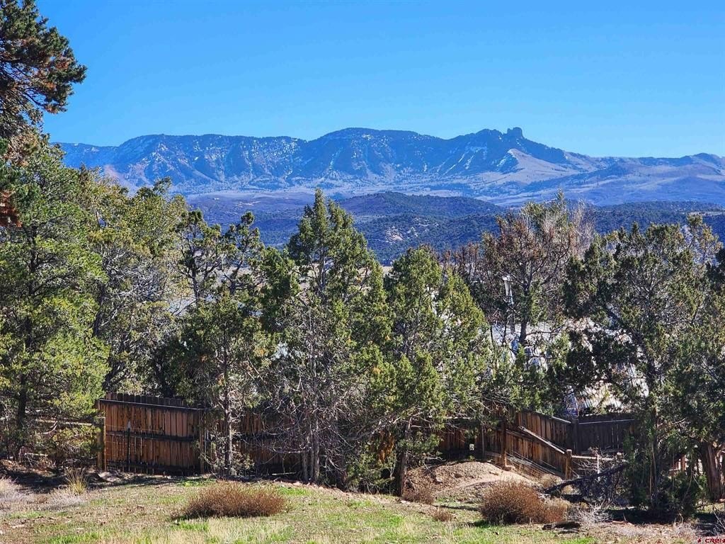 Land in Crawford, Colorado