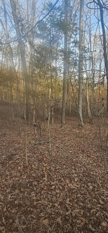 Picture 8