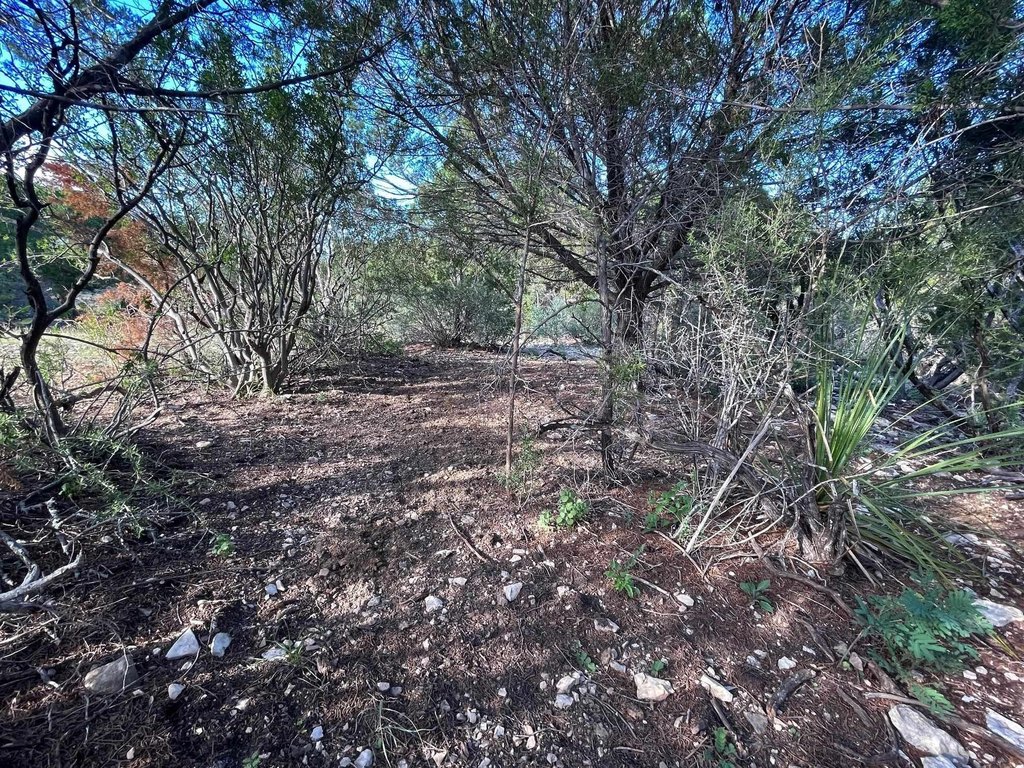 Picture 36