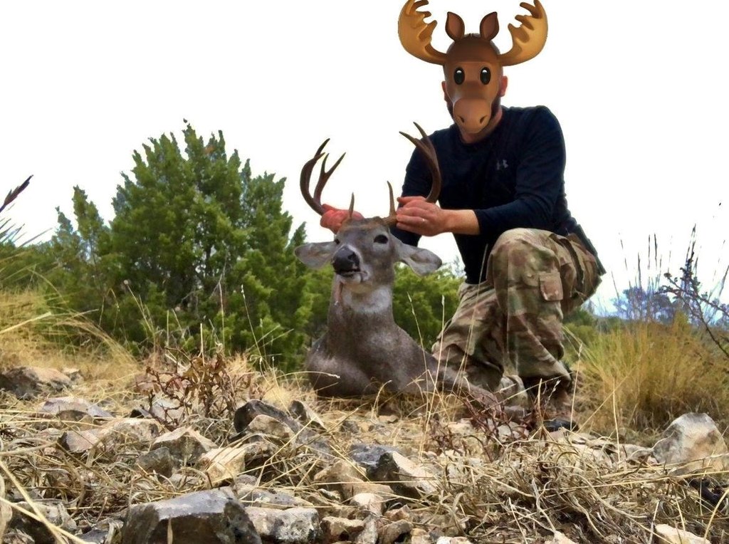 Picture 46