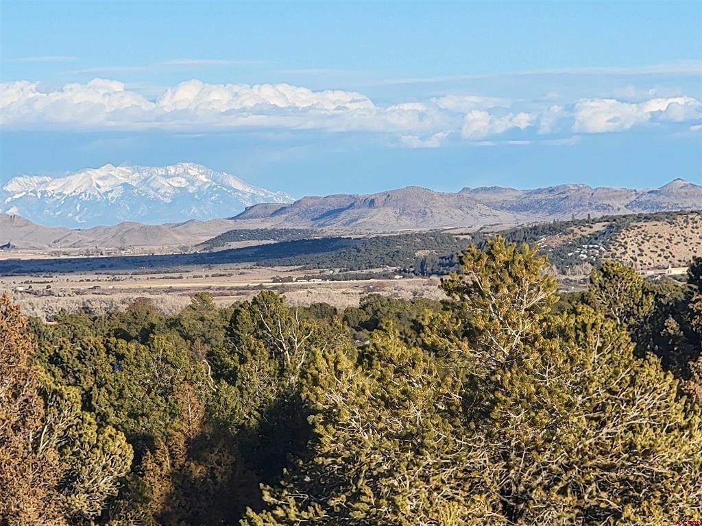 Picture 22