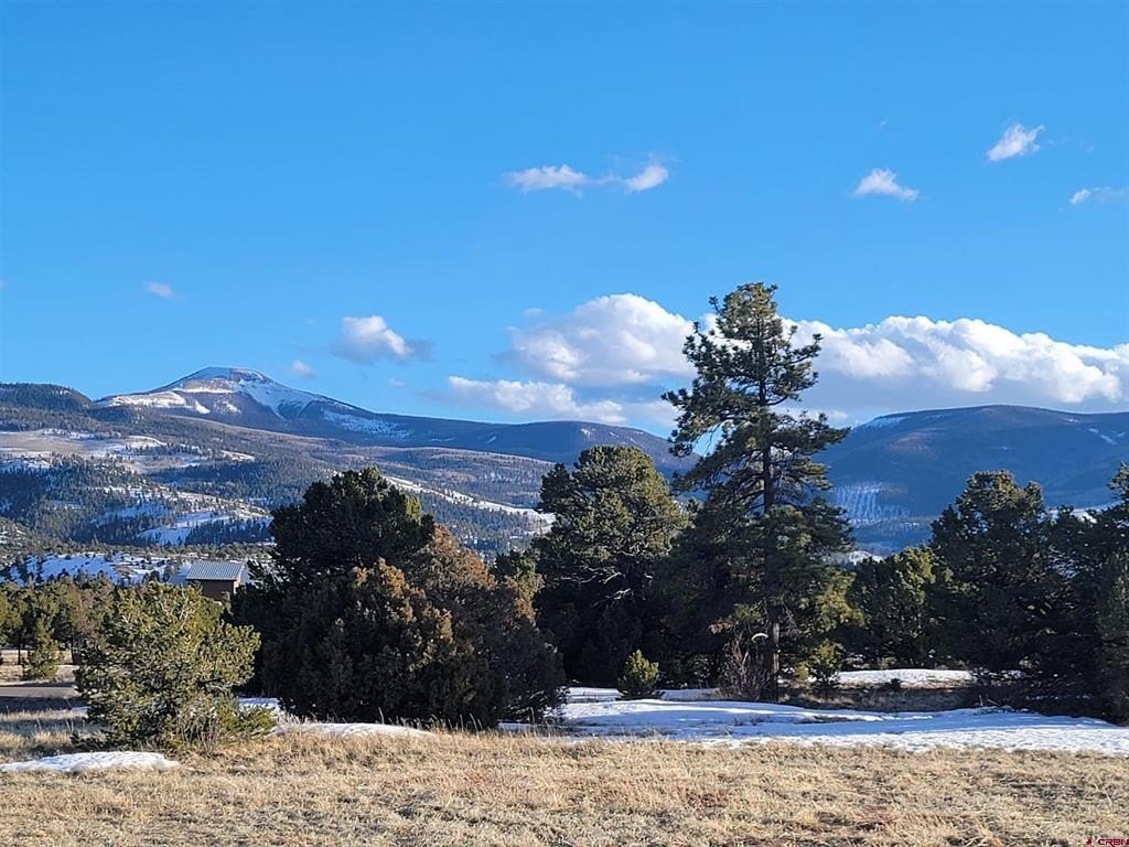 Land For Sale, South Fork