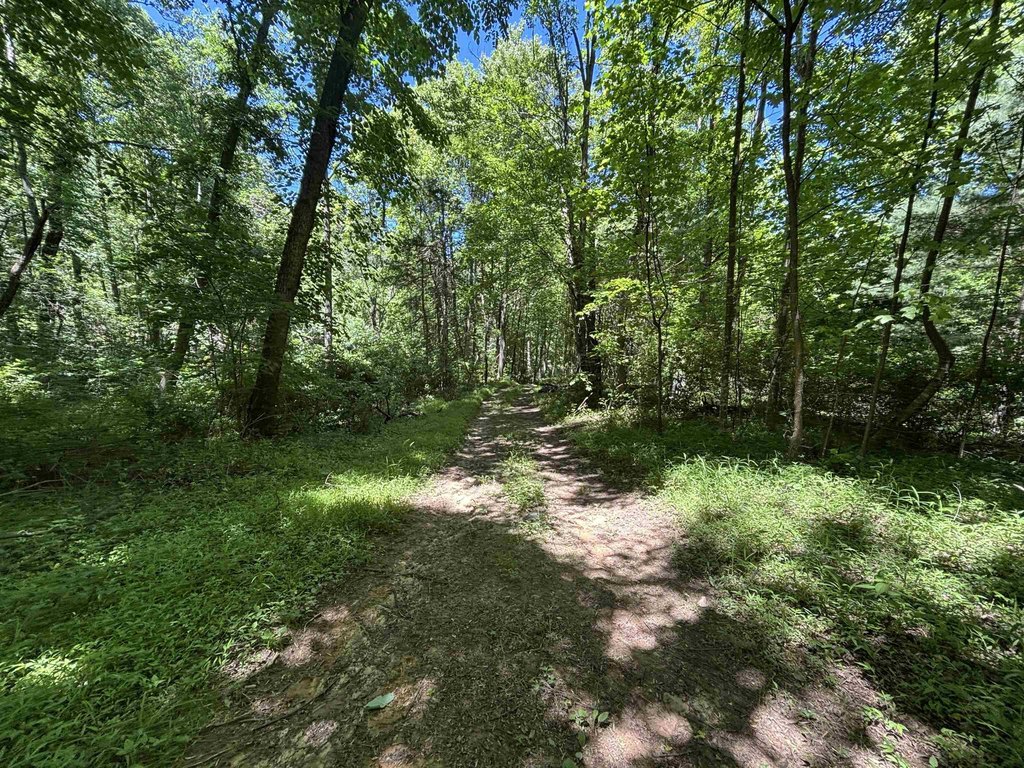 Picture 18