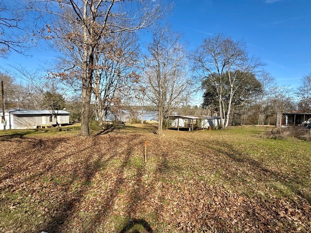 Picture 20
