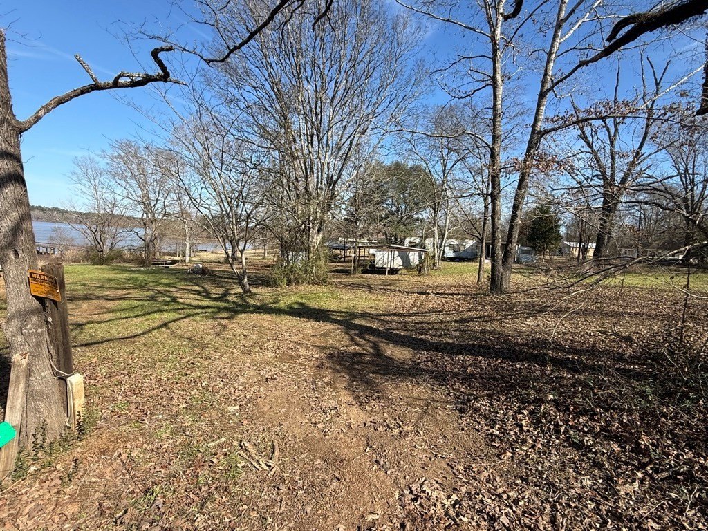 Picture 19