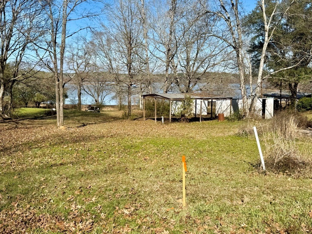 Picture 21