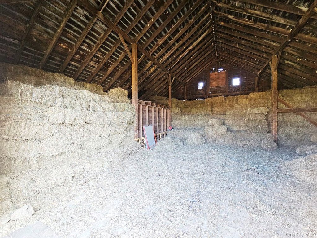 Picture 31