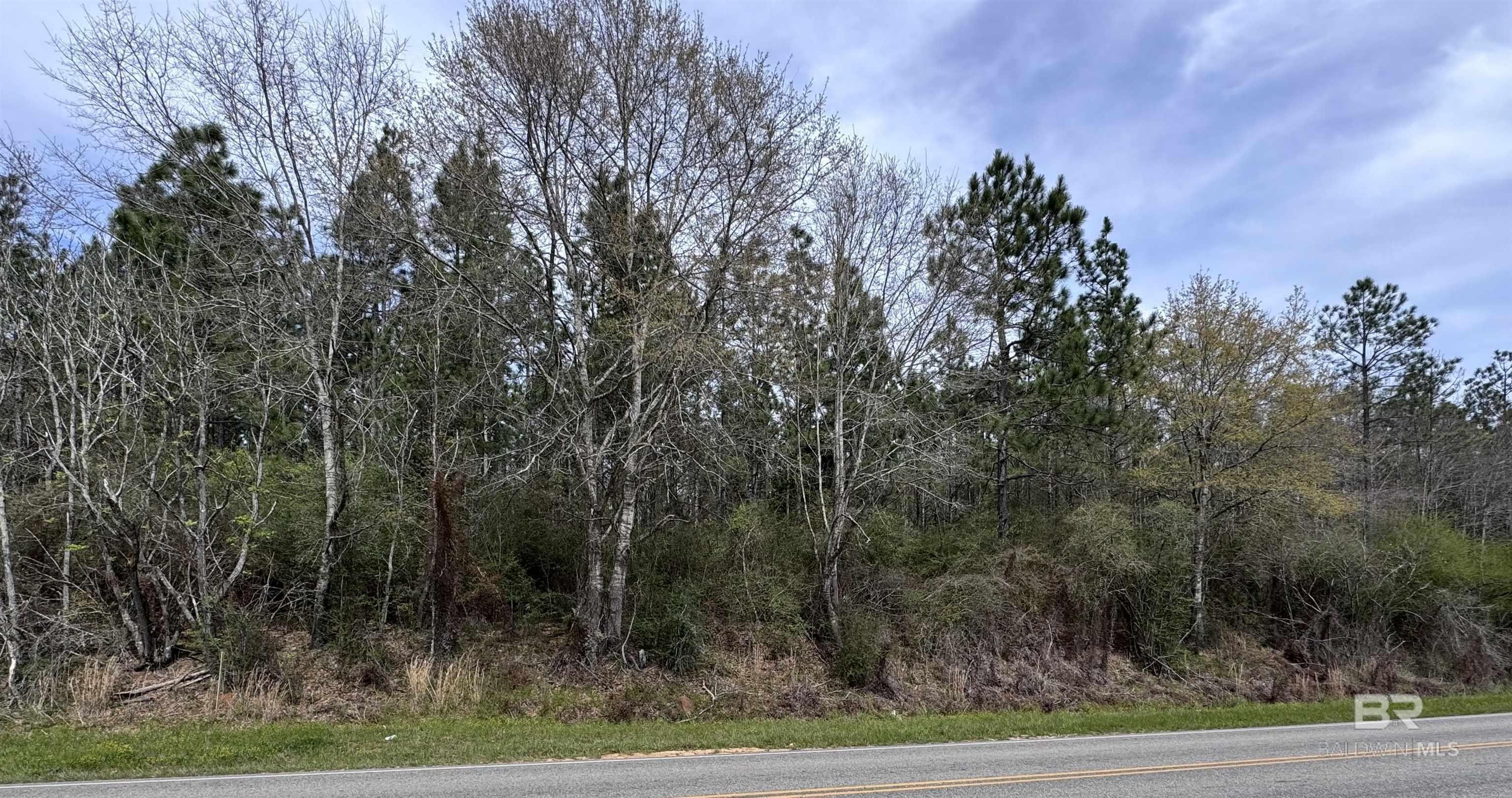 Land Parcel in Atmore, AL