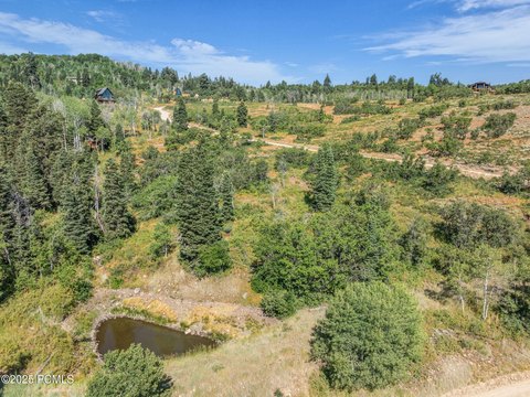 Land with Pond and Stream