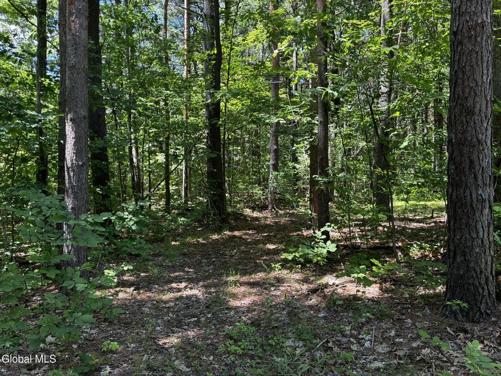Picture 14