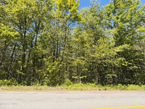 Wooded Residential Home Site
