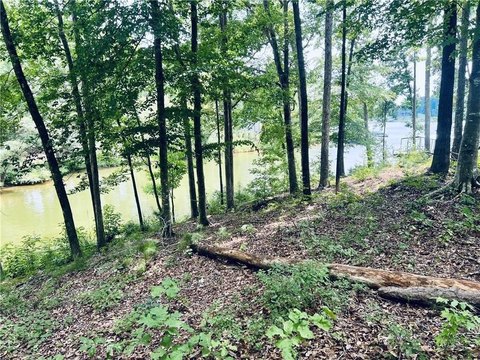 Lakefront Lot on Lake Secession