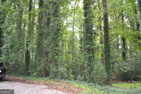 Residential Land in Douglasville, GA