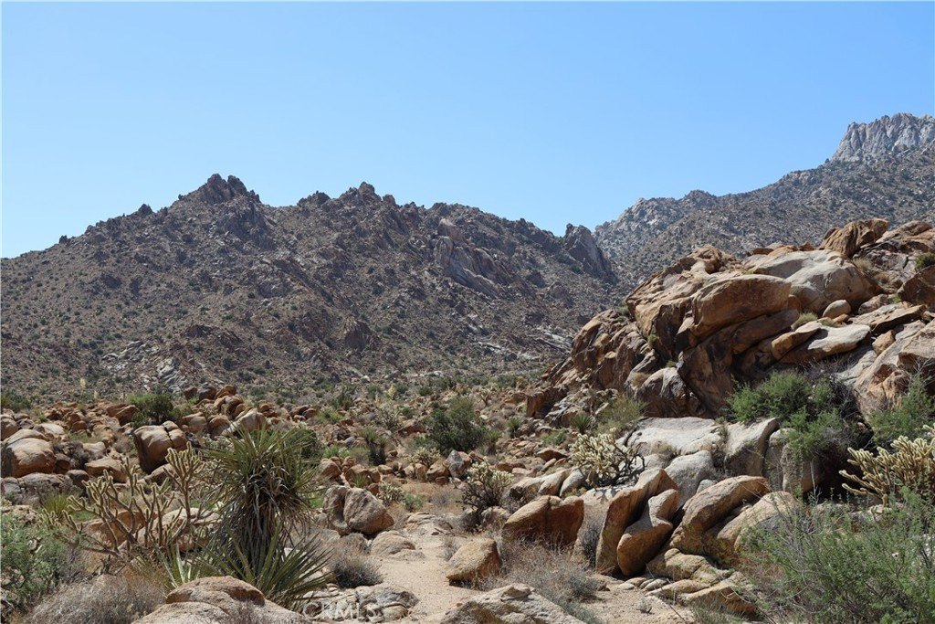 Picture 6