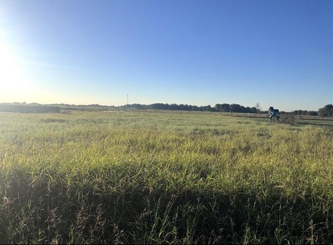Land, Palmer, TX