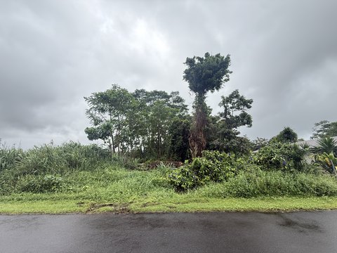 Land, Pahoa, HI