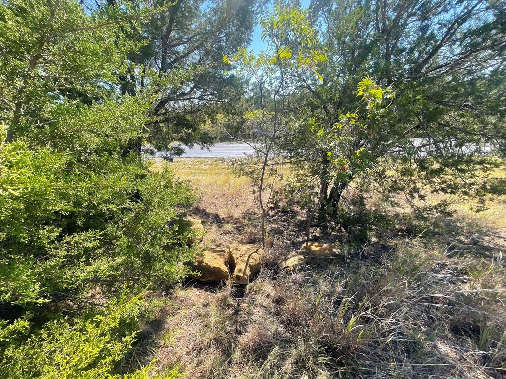 Picture 20
