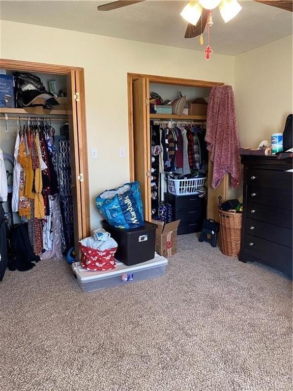 Picture 25