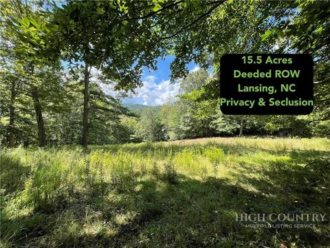 Mountain-View Hunting Land