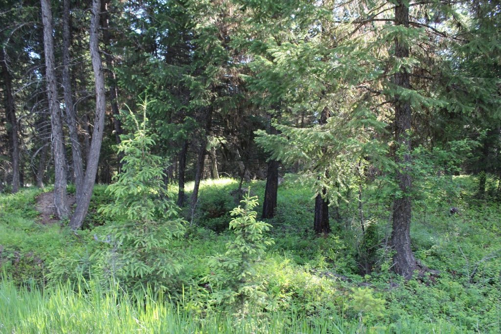 Picture 69