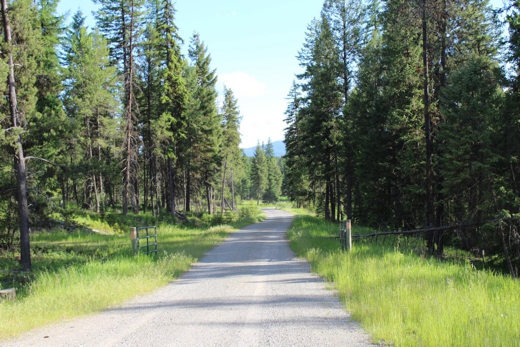 Picture 9