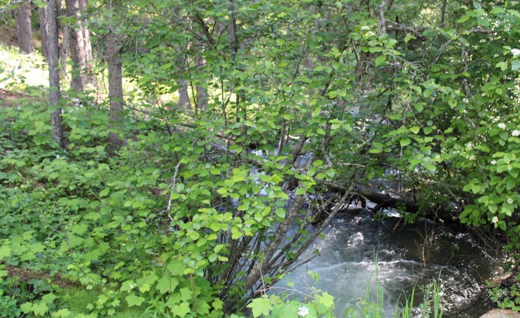 Picture 8