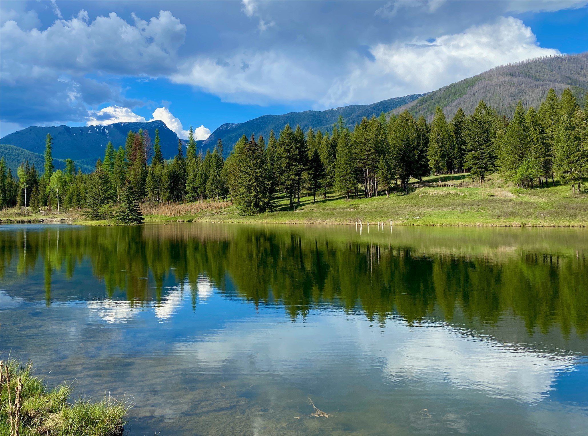 60+ Acres with Private Pond
