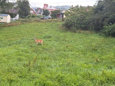 Residential Lot in Galax, VA