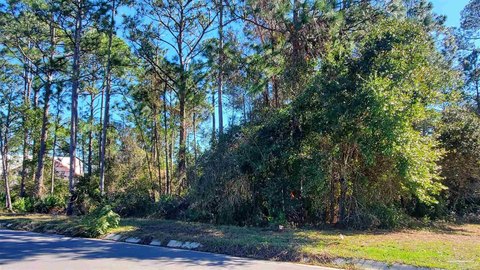 Pensacola Land Near Perdido Key