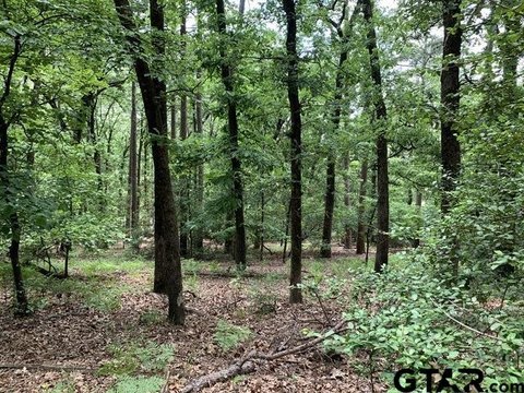 Heavily Wooded Residential Land Lots