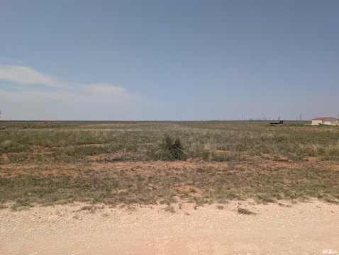 Land, Portales, NM
