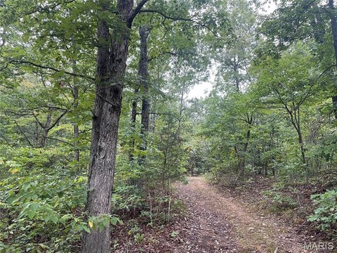 Land, Piedmont, MO